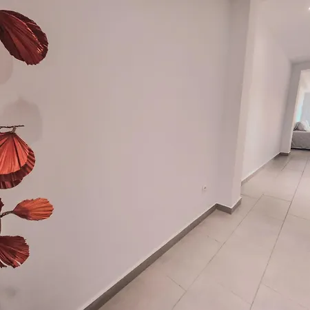 Apartment Charming Steps From Marbellas Downtown Pass The Keys